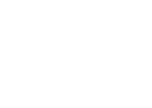 Lisa Artes